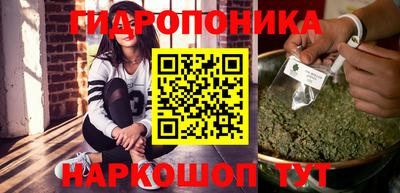 скорость Кимры