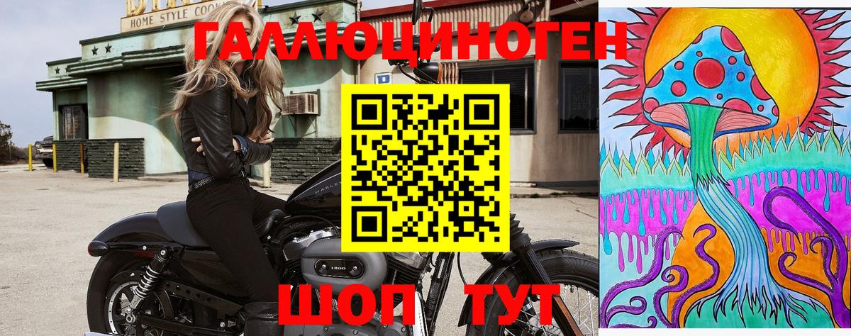 магазин  наркотиков  Вход с VPN  Ковров  Псилоцибиновые грибы Psilocybine cubensis 