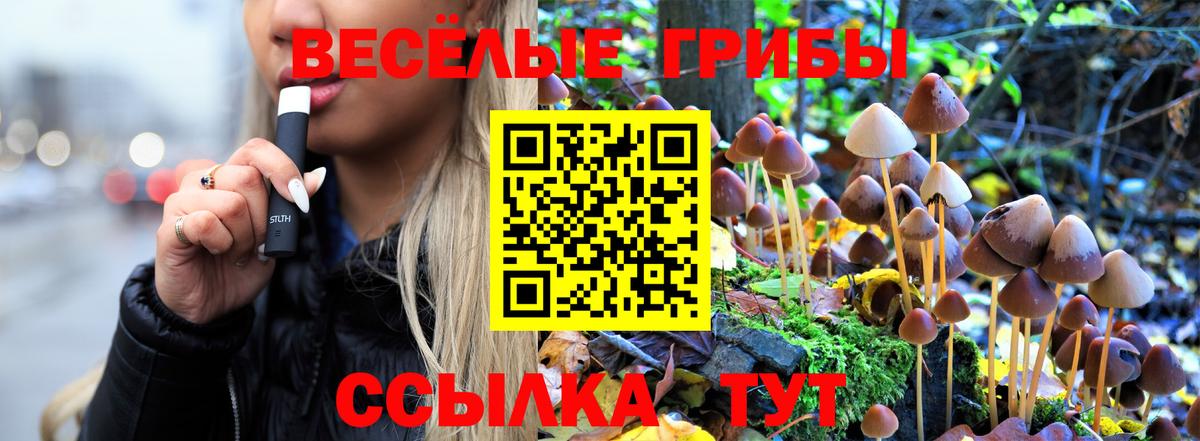 Псилоцибиновые грибы GOLDEN TEACHER Ковров
